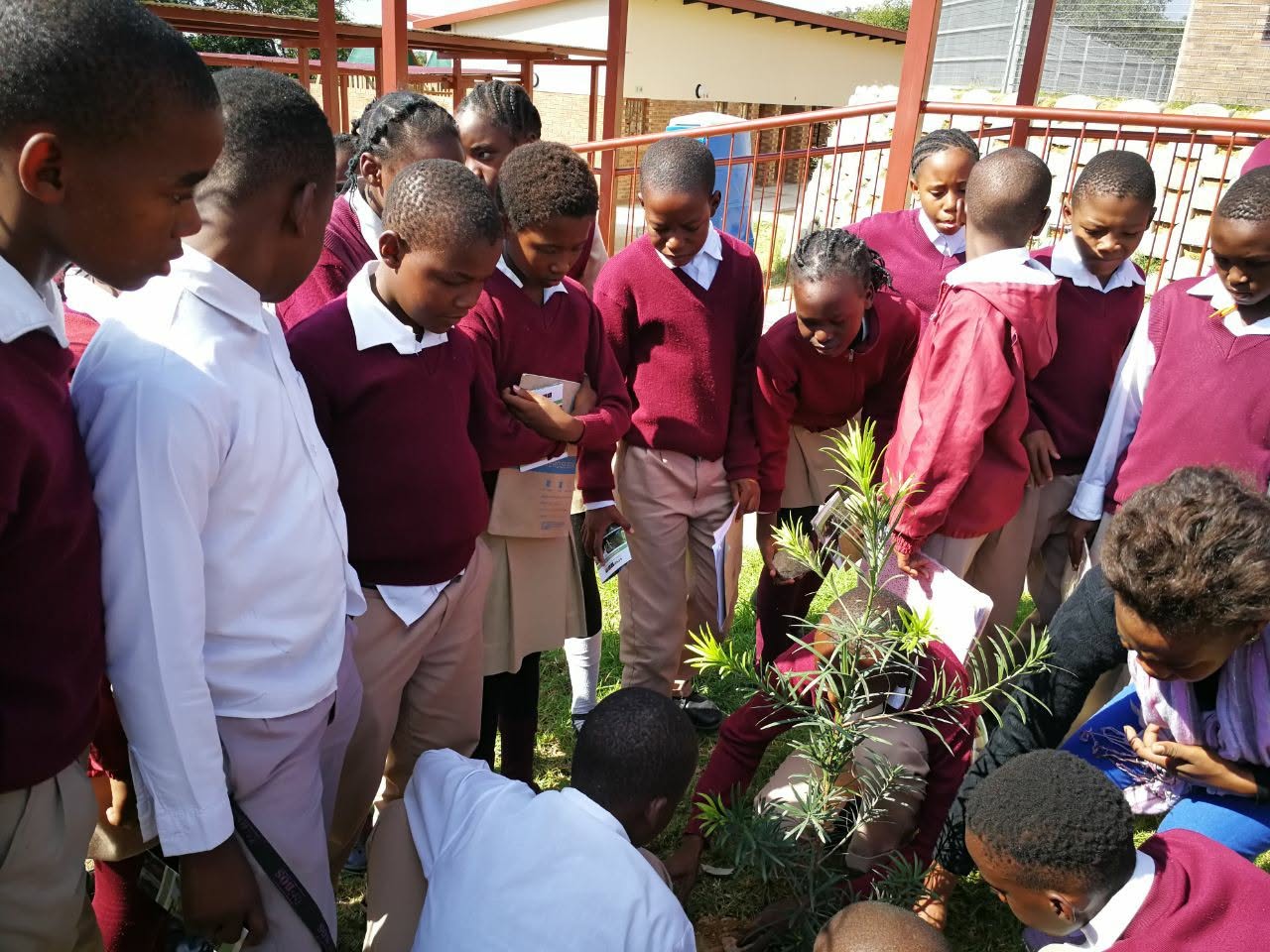Magudu Primary School